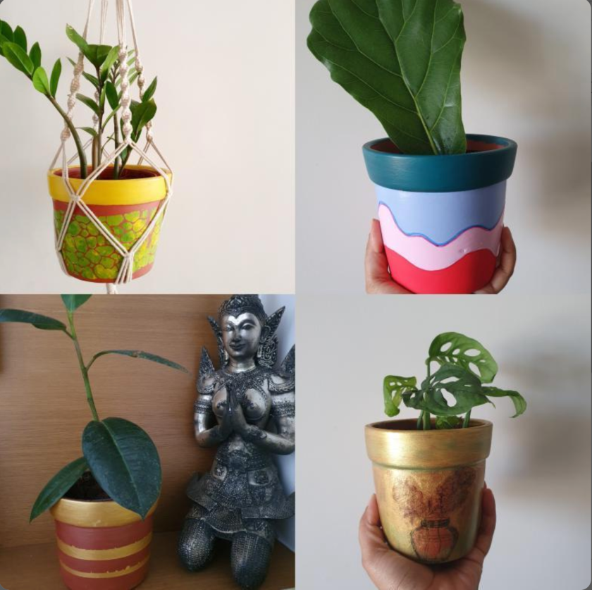 collage of 4 hand-painted terracotta planters with plants