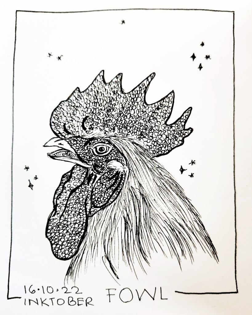 Inktober 2022 Day 16 prompt: Fowl. Pen and ink drawing of a rooster's head in side profile
